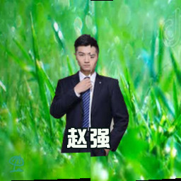 赵强